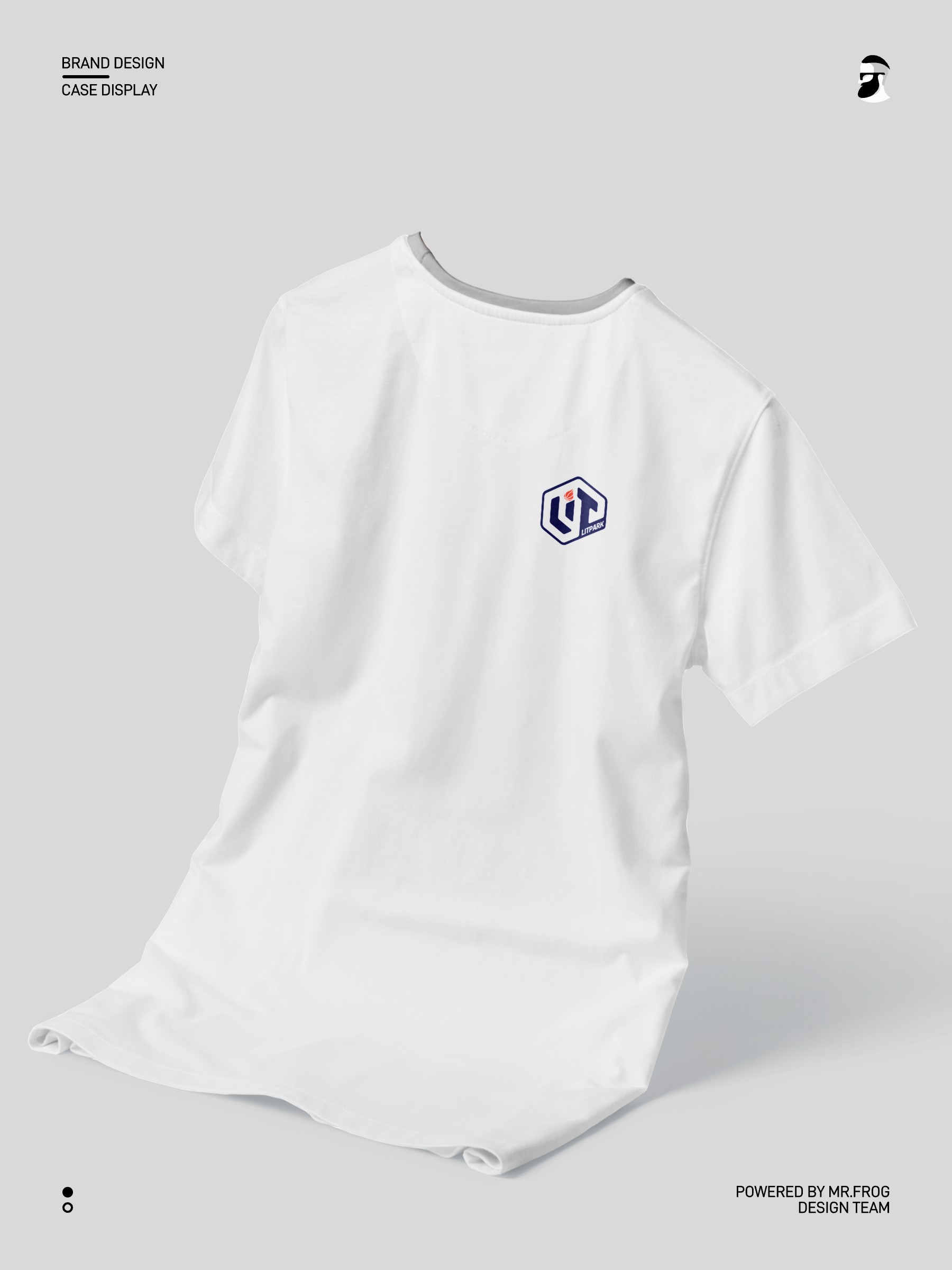 篮球培训品牌VIS设计