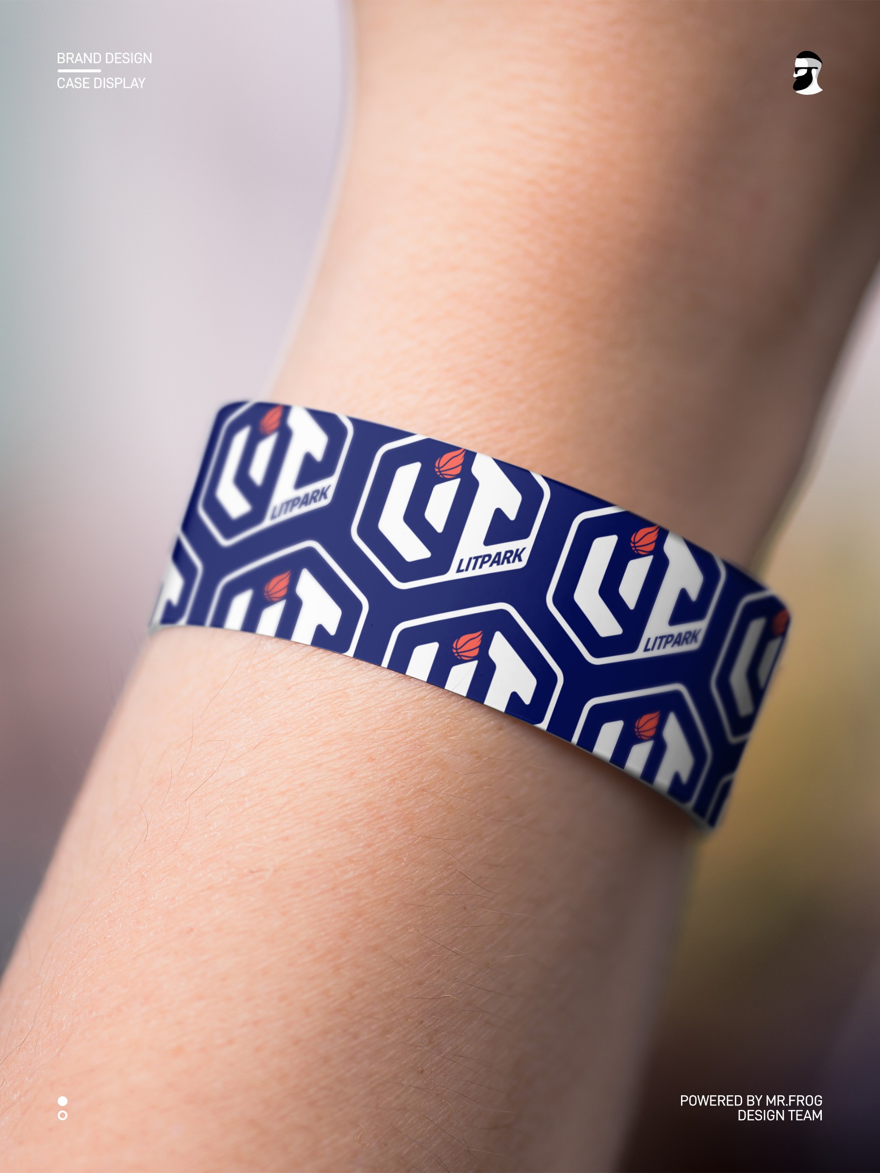 篮球培训品牌VIS设计