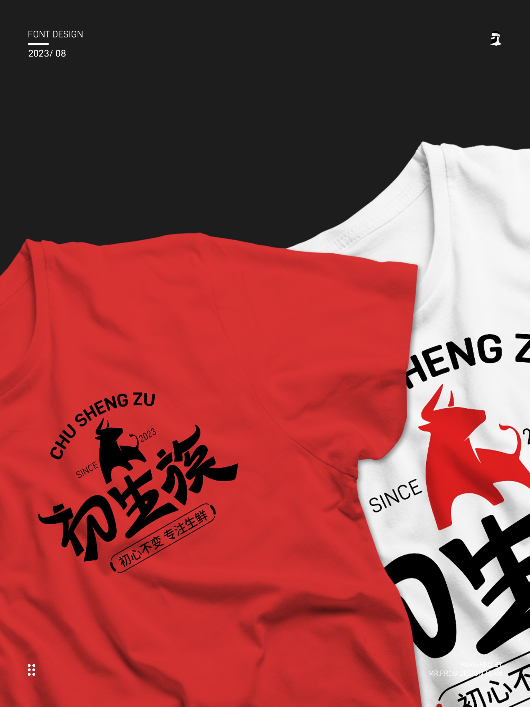 牛肉品牌VIS设计-初生族